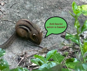 A Chipmunk say anti-fascist action is based